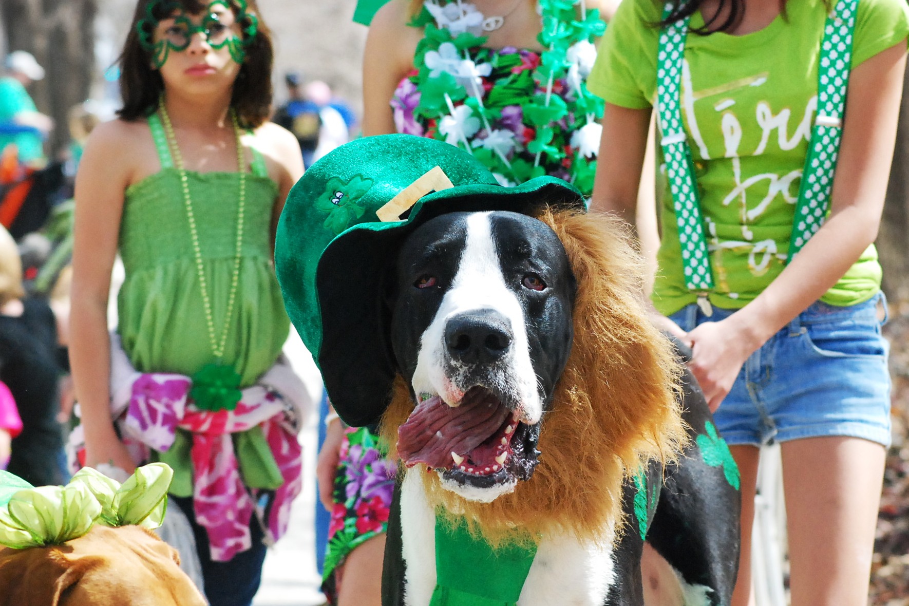St. Patrick’s Day Parade Oklahoma City [photo essay]