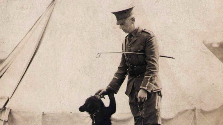 Finding Winnie | Winnie-the-Pooh Bear’s Amazing Connection to World War I