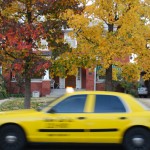 Taxi, OKC, Autumn