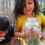 Kids with Bugs in a Jar