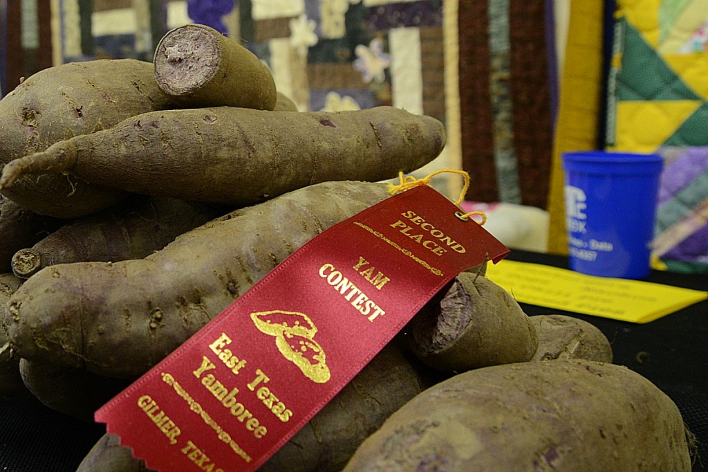 Yam Growing Contest County Fair