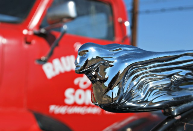 Route 66 Gas Station with restored cars and hood ornaments