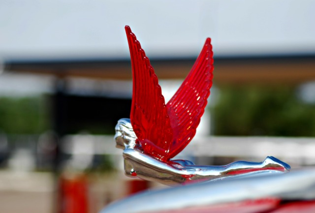 hood ornament with red wings on Route 66